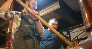 Brofaktura Siedlce 2019